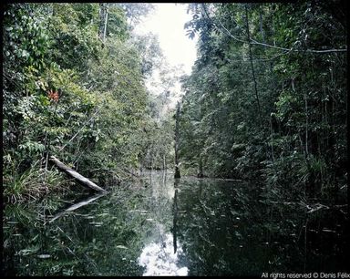 Agrandir Photo du post "Un voyage là-bas" de Thierry Casters