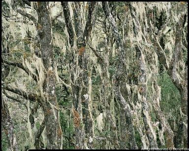 Agrandir Photo du post "Un voyage là-bas" de Thierry Casters